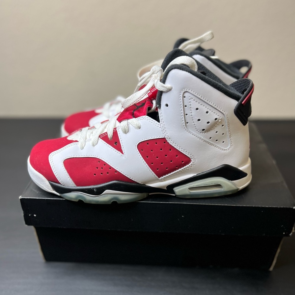 Jordan 6 Retro “Carmine” (2014)